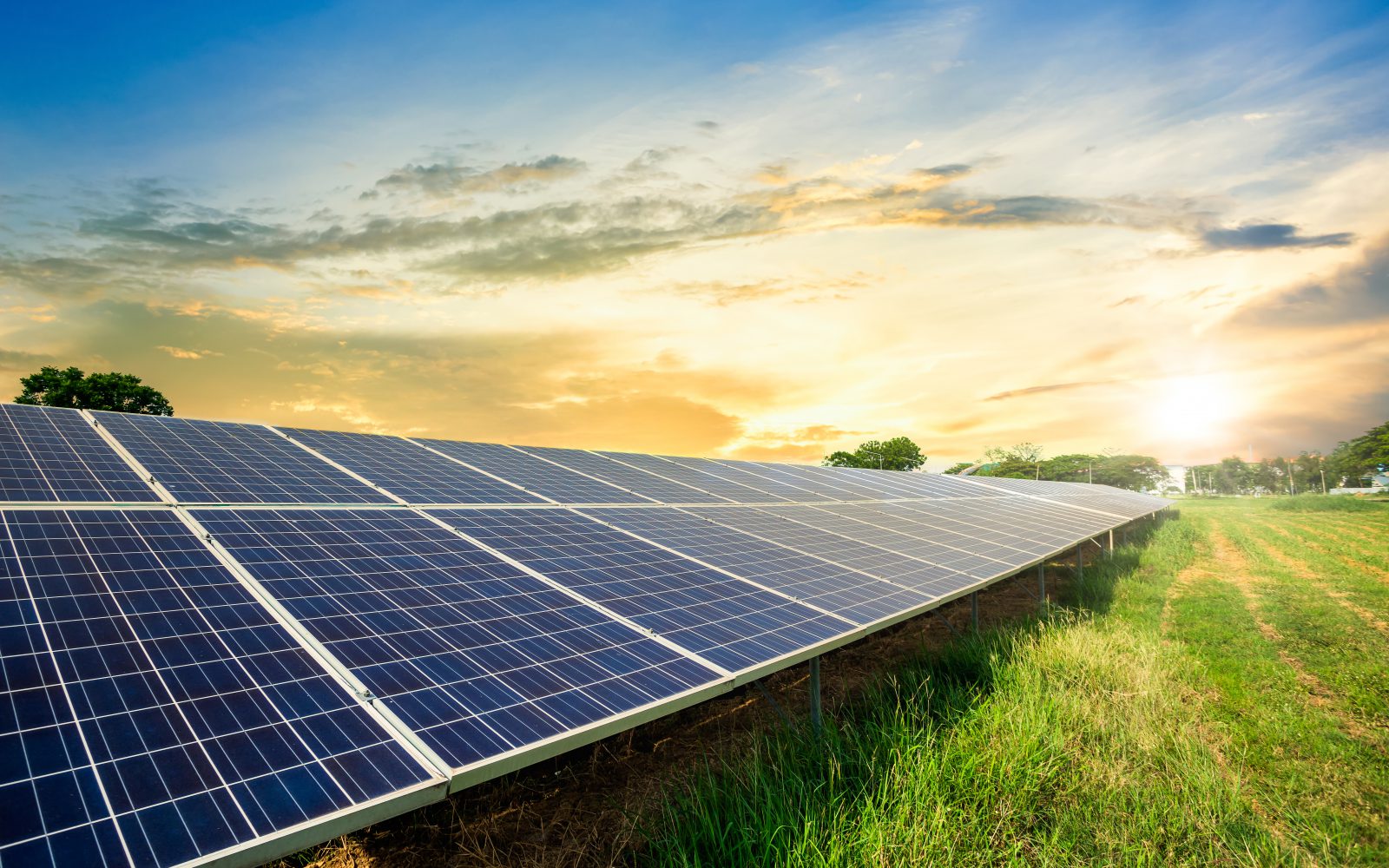 Panouri fotovoltaice montate în câmp, la apus